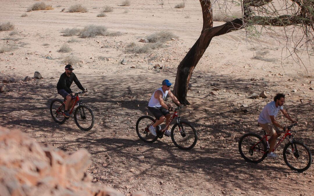 Egypt Biking: Bent Tree Bike Trail
