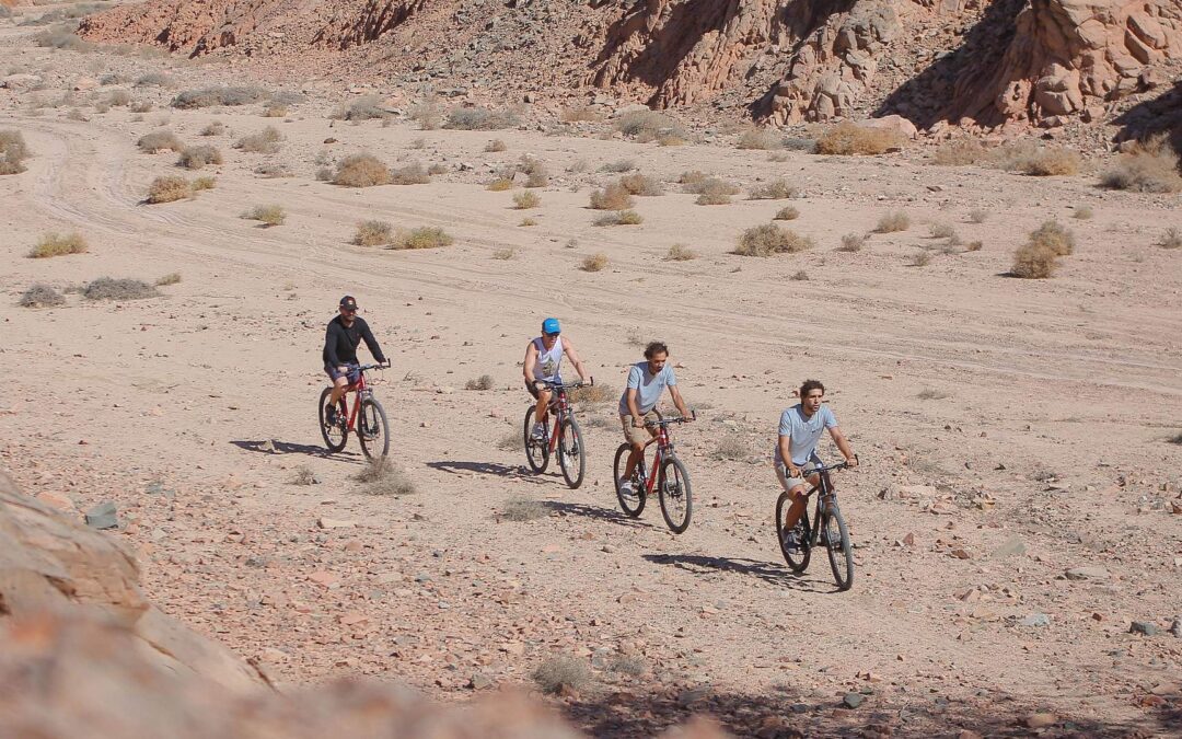 Egypt Biking: Hills and Canyons Bike Trail