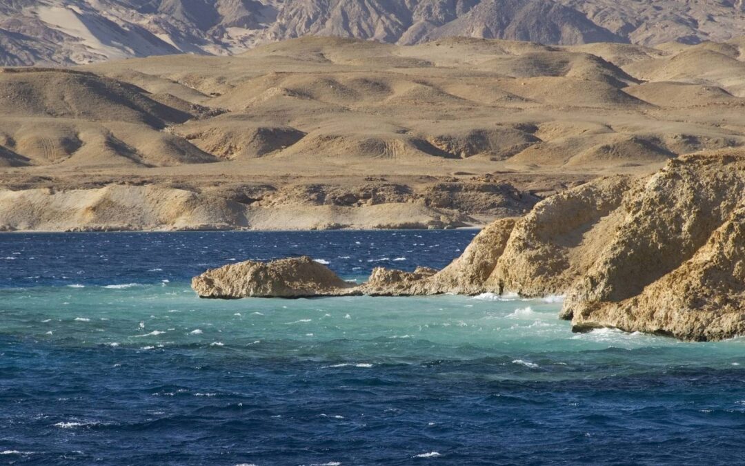 Swim the Red Sea