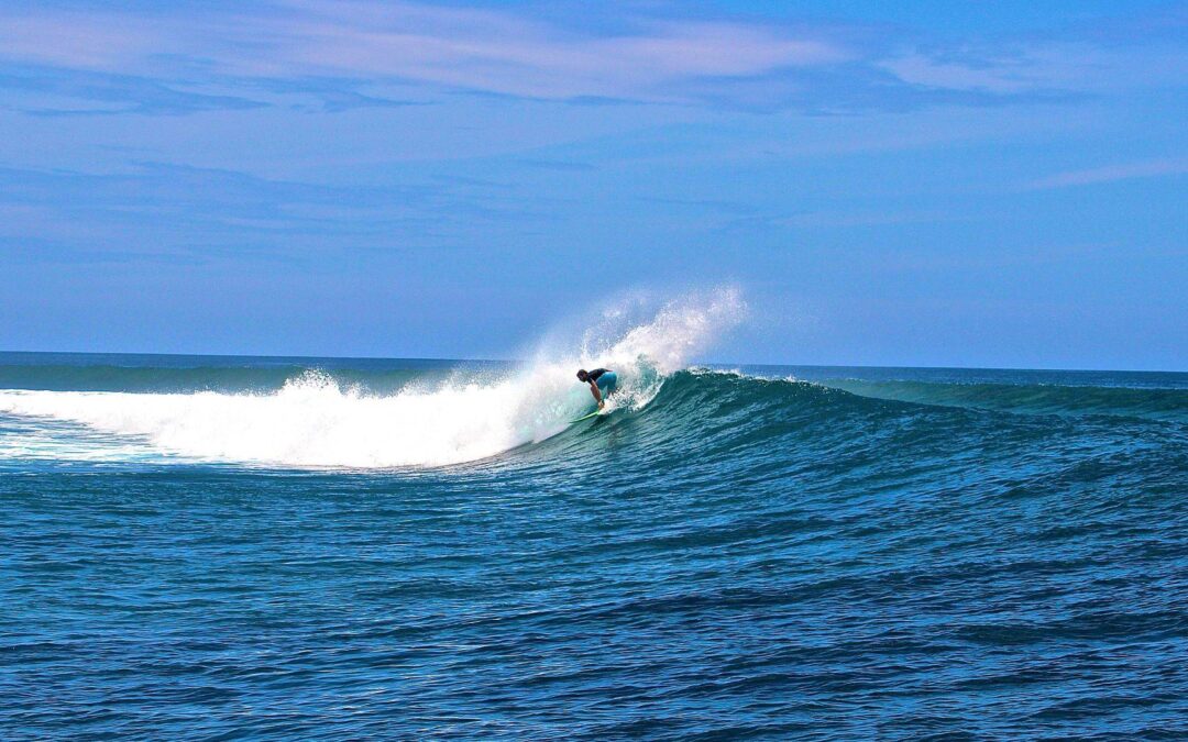 Maldives Surfing Trips