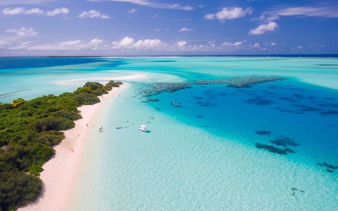 Swim the Maldives