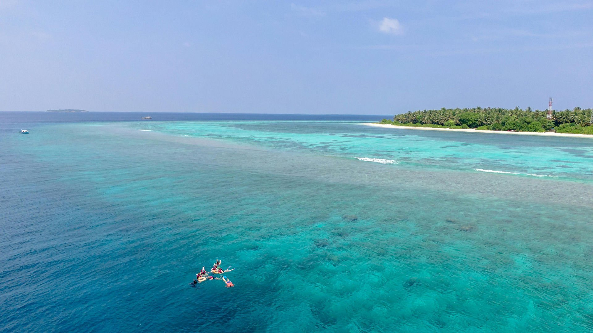 Snorkelling in the Maldives