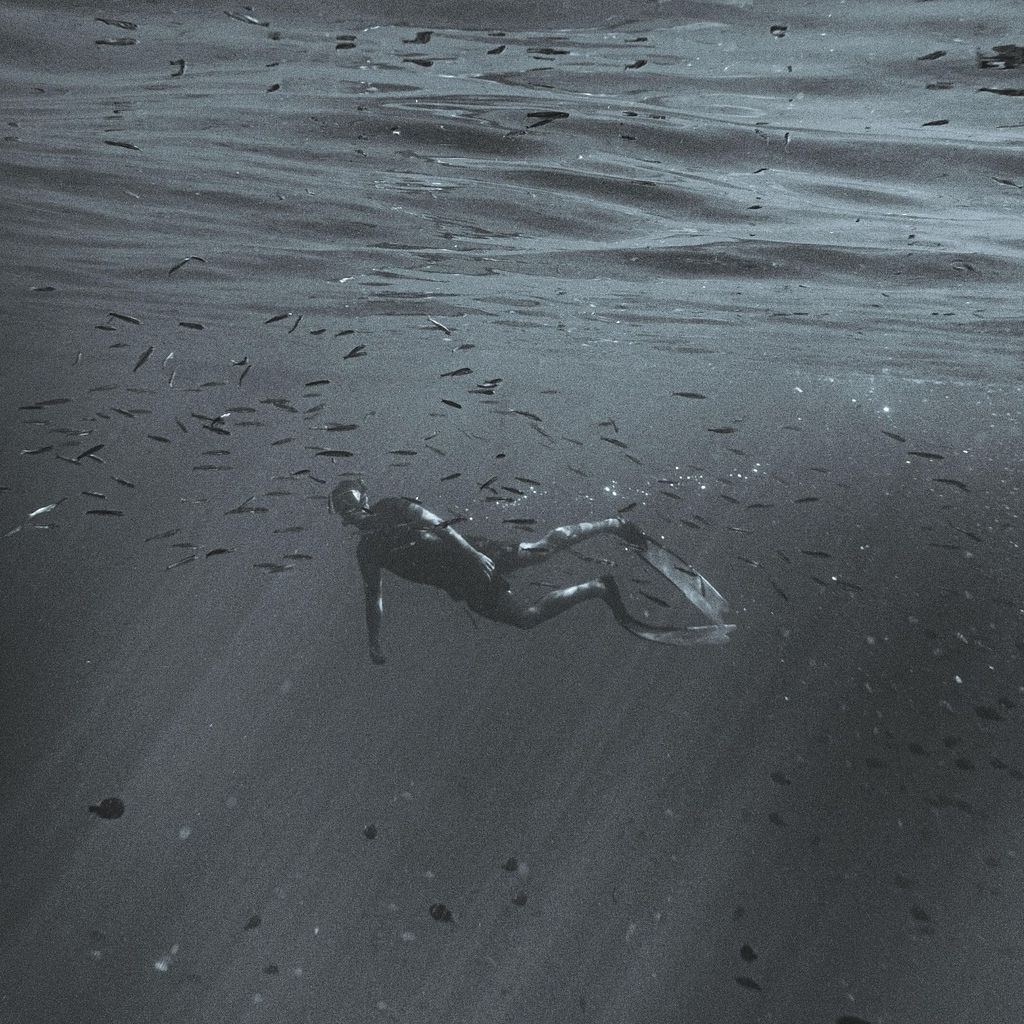Snorkelling Snorkelling
