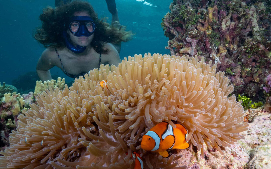 Solomon Islands Snorkelling Adventure