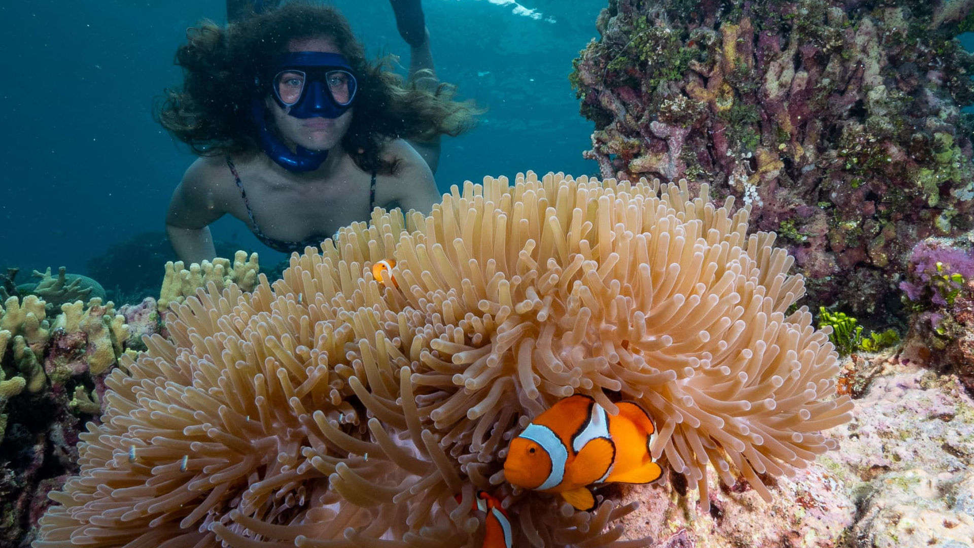 Solomon Islands Snorkelling